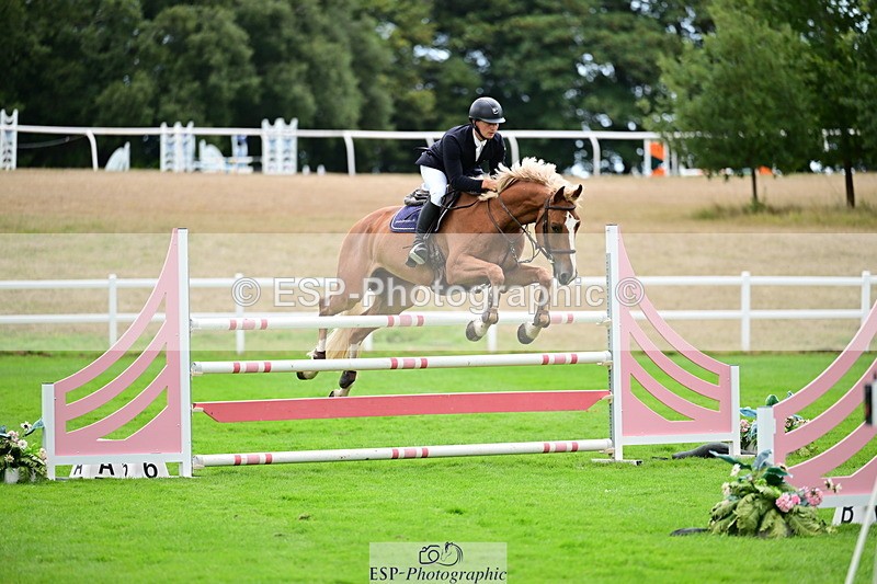 2026-08-21A-DSC_4073 - Cls 2 Snr Foxhunter