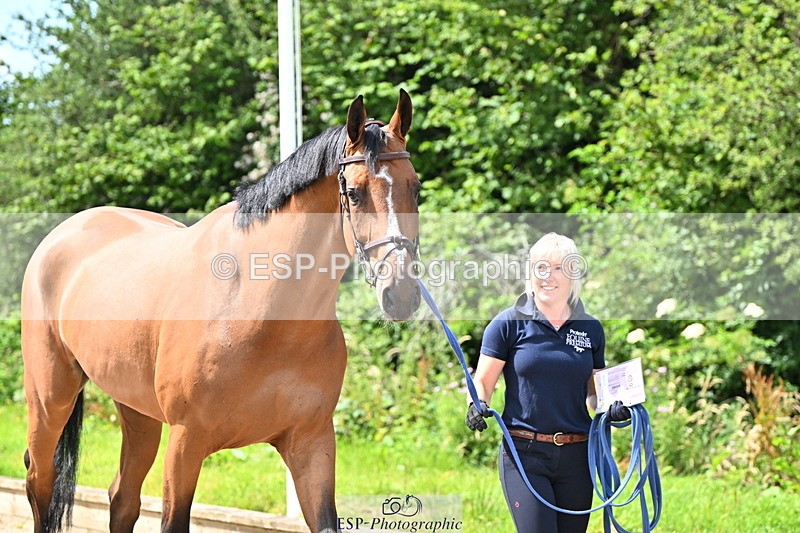 240718A-105237-00925 - Trot Up 11am to 12pm