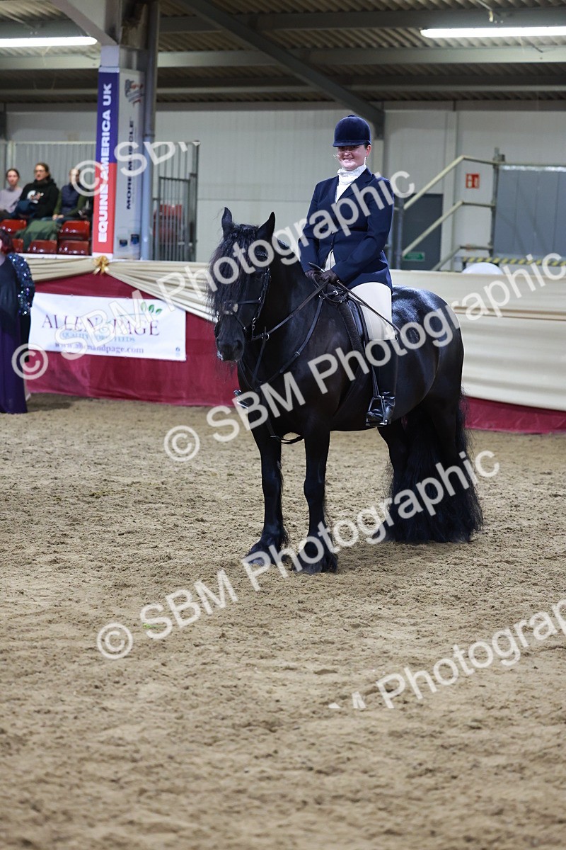 SBM_21372 - Class T - Working Veteran Champs