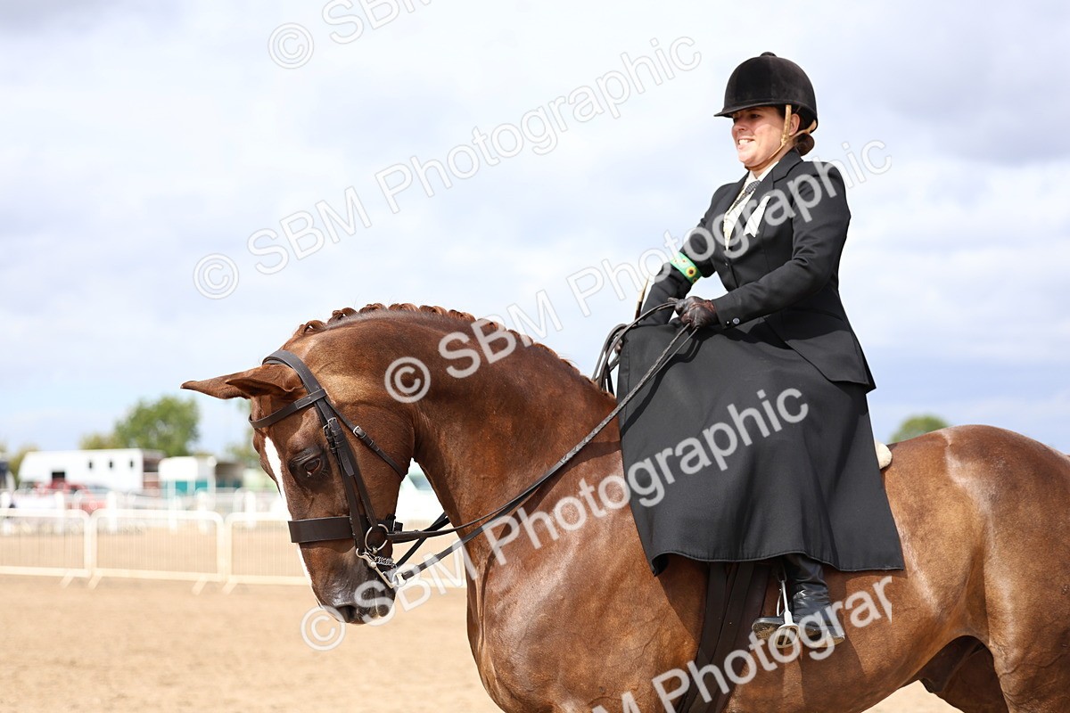 SBM_03464 - Class 24 - SSA Concours d'elegance (any age)
