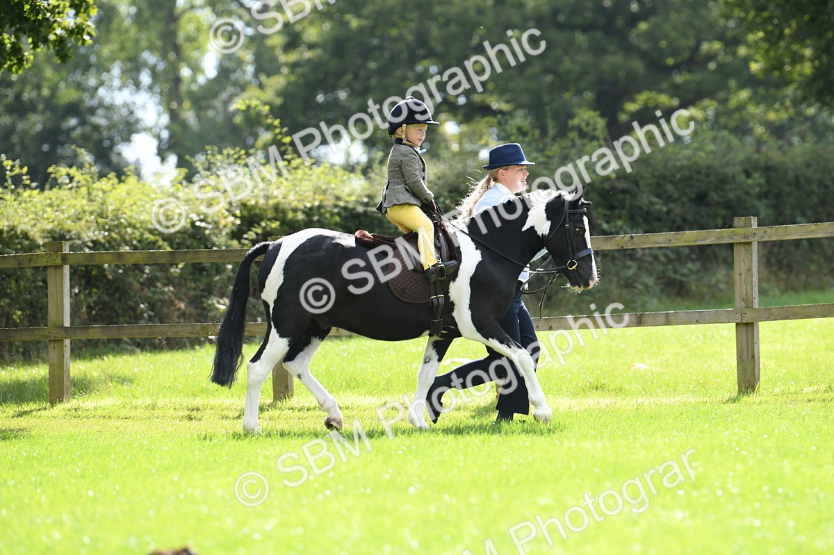 SBM_41150 - S19 - Lead Rein Show & Show Hunter Pony