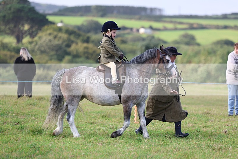 3E7A3374 - Class 2: Lead rein