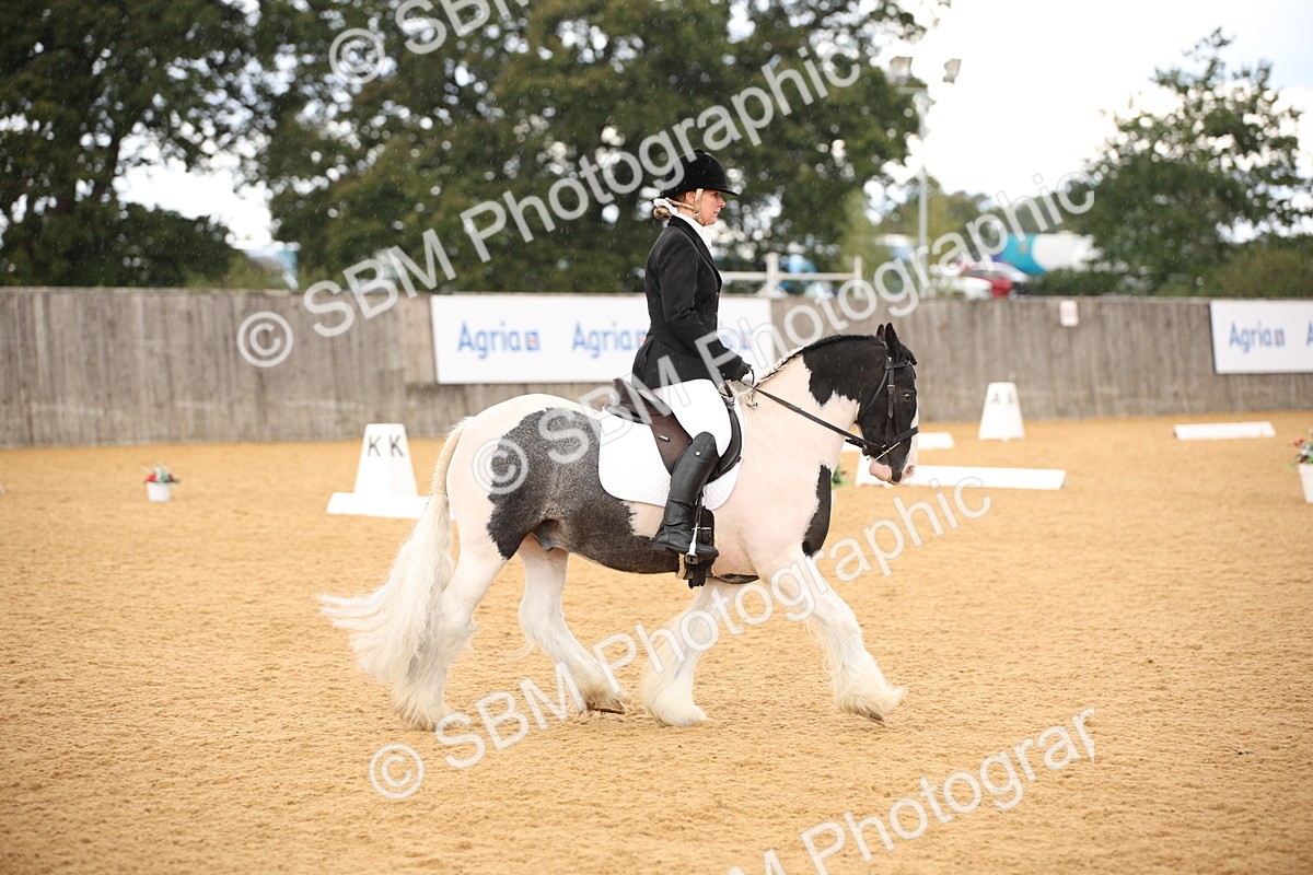 SBM_08928 - D8 Small Tour Championship Prelim 7