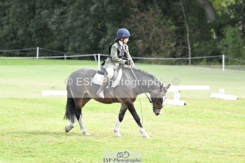 250821A-103710-14443 - DR 10.00 to 11.00