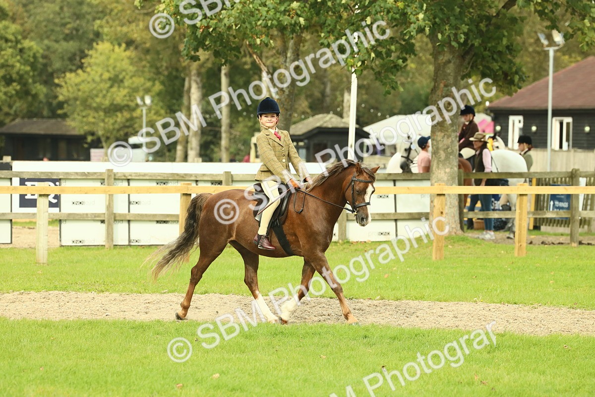 SBM_69881 - S59 - Mountain & Moorland Ridden Small Breeds