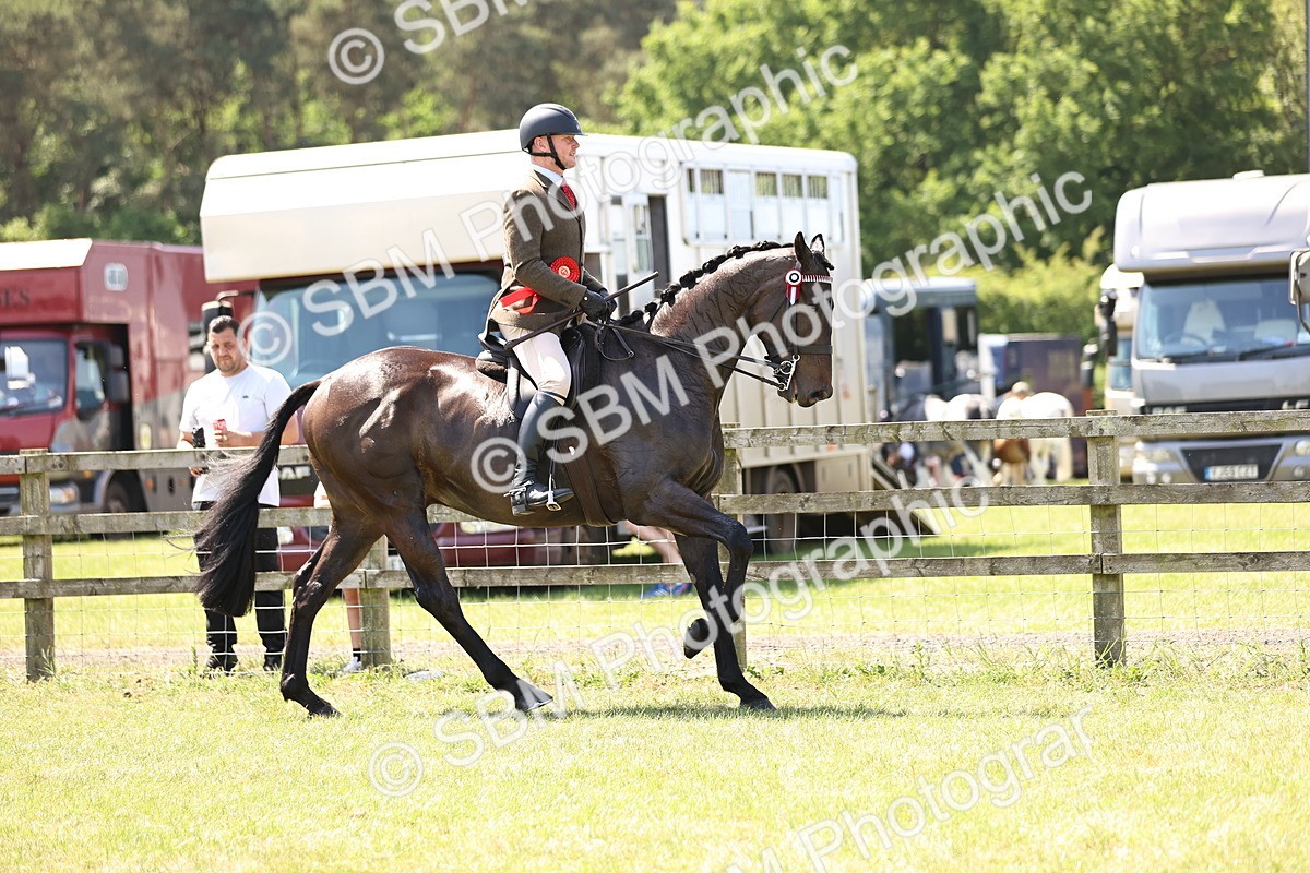 SBM_15000 - Class 78 - LIHS BSHA Open Racehorse & Show Horse
