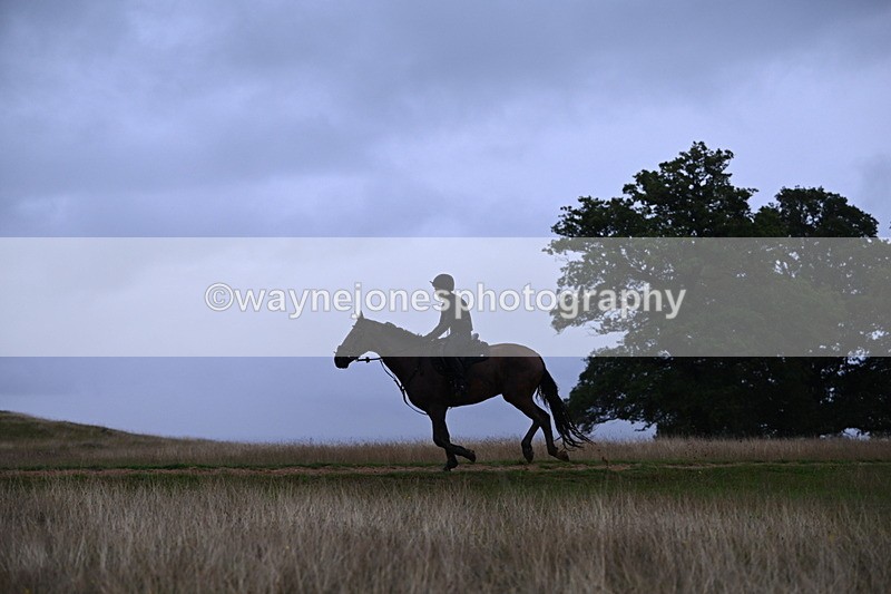 DSC_3330 - Time at Statue 13:51 to 14:55