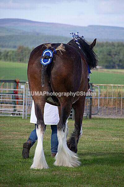 DSC_0160 - Ring 1