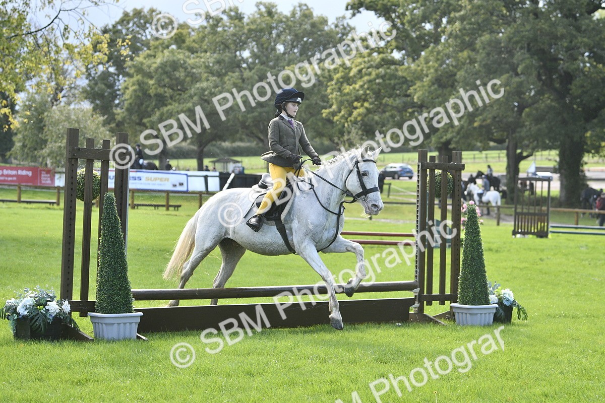SBM_37212 - S31 - Novice & Newcomer Working Hunter Pony