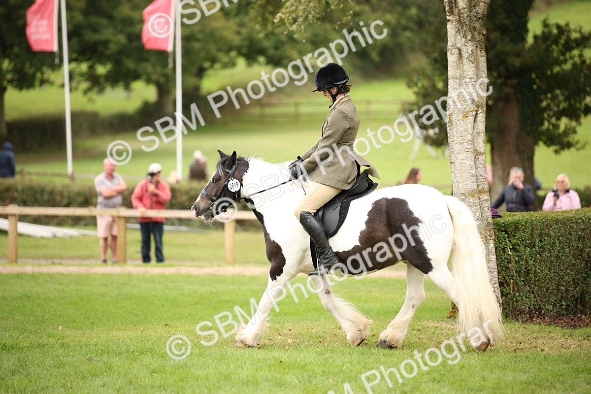 SBM_73550 - S68 - Traditional Cob Ridden