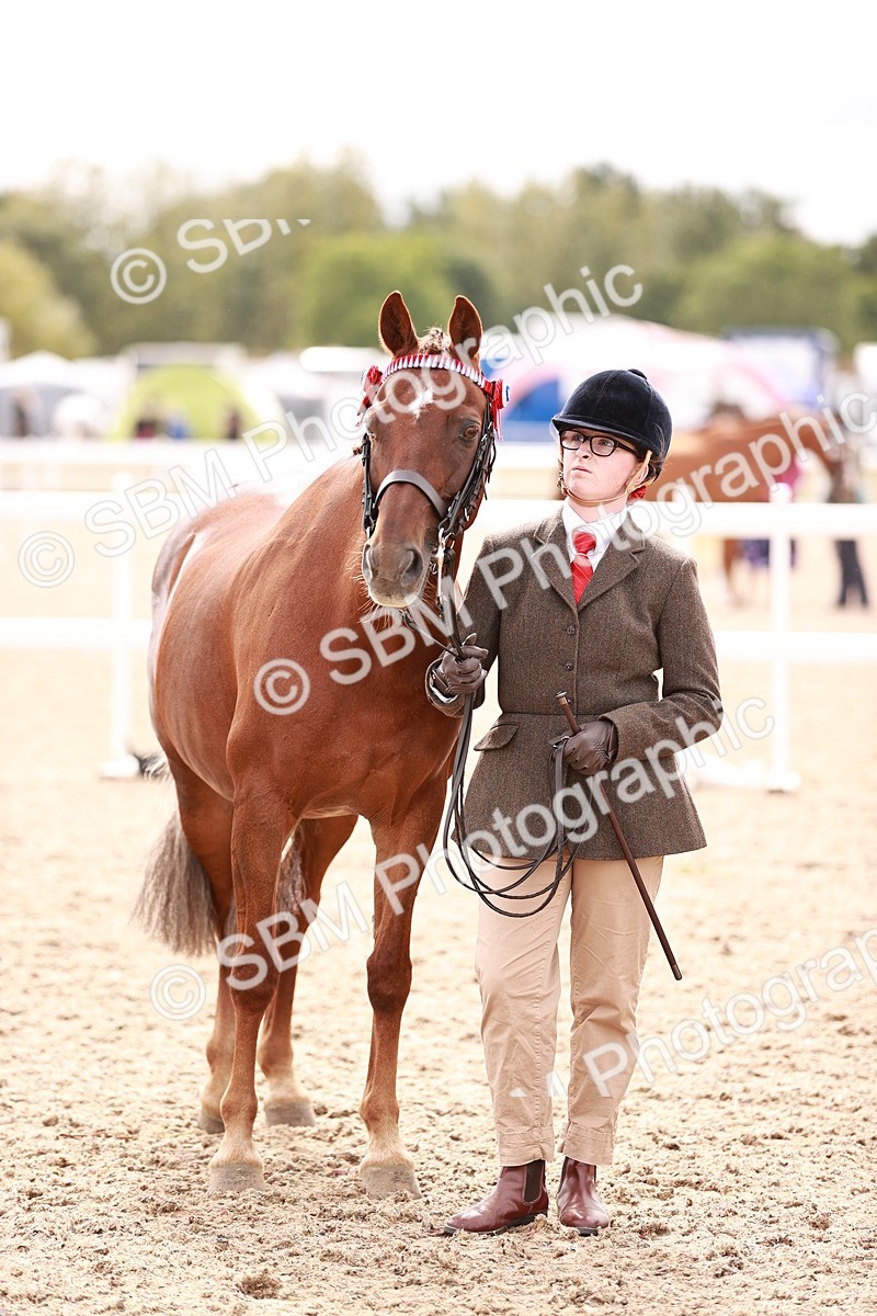 SBM_16330 - Class 413 - Best Condition - Adult