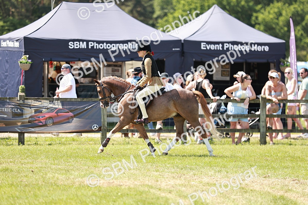 SBM_15648 - Class 108-109 - BSPS LIHS Open Gradle & Nursery Stakes