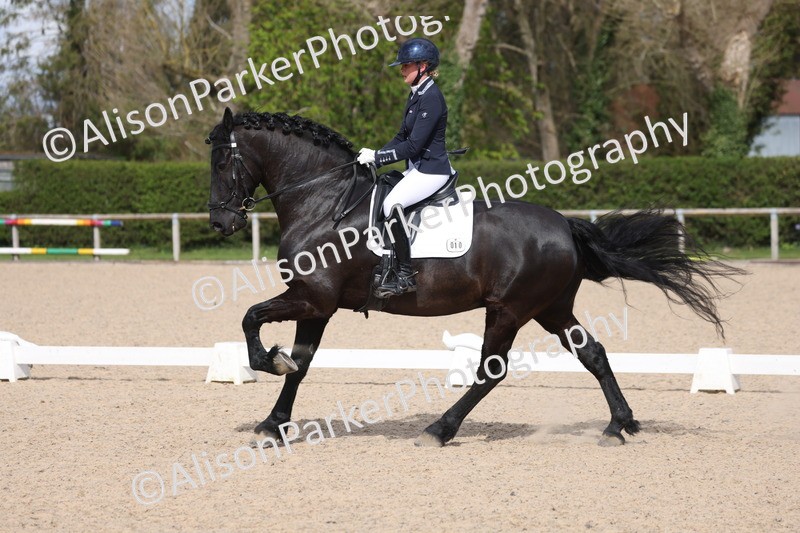 20260405-0242 - Class 3 - Novice 5