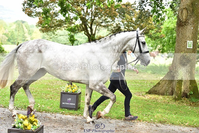 240522-170626-01390 - 283-RETOUCHABLE-Izzy_Taylor