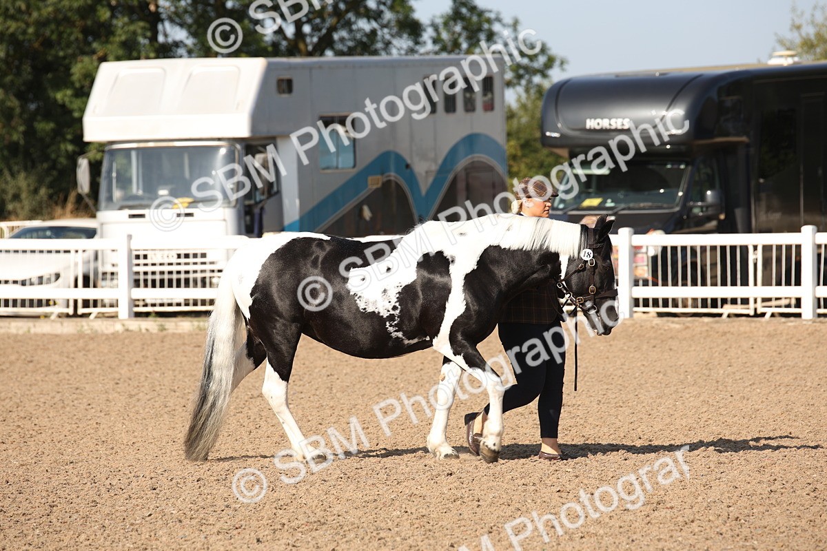 SBM_01428 - Class 15 IH Coloured