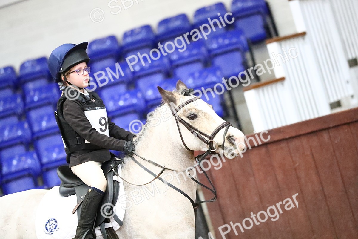 SBM_000679 - Class 2 - 40cm