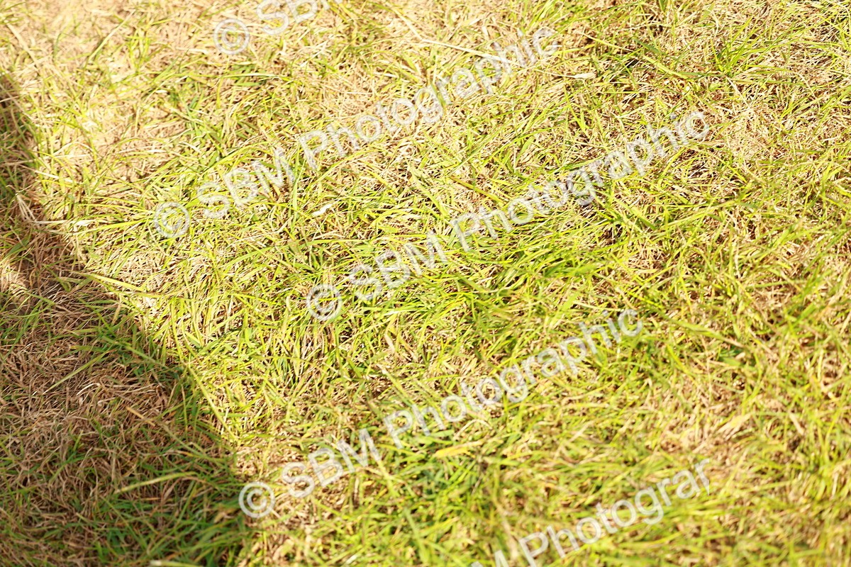 SBM_02769 - Class 2-4 - HOYS Private Driving