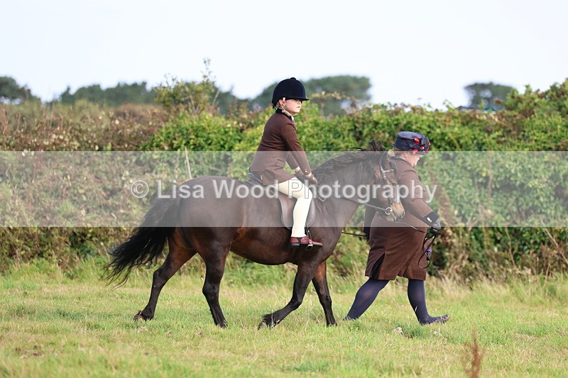 3E7A3419 - Class 2: Lead rein