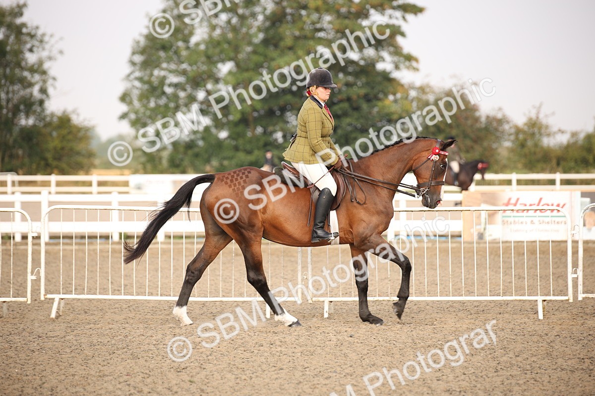 SBM_10256 - Class 402 Riding Club Horse