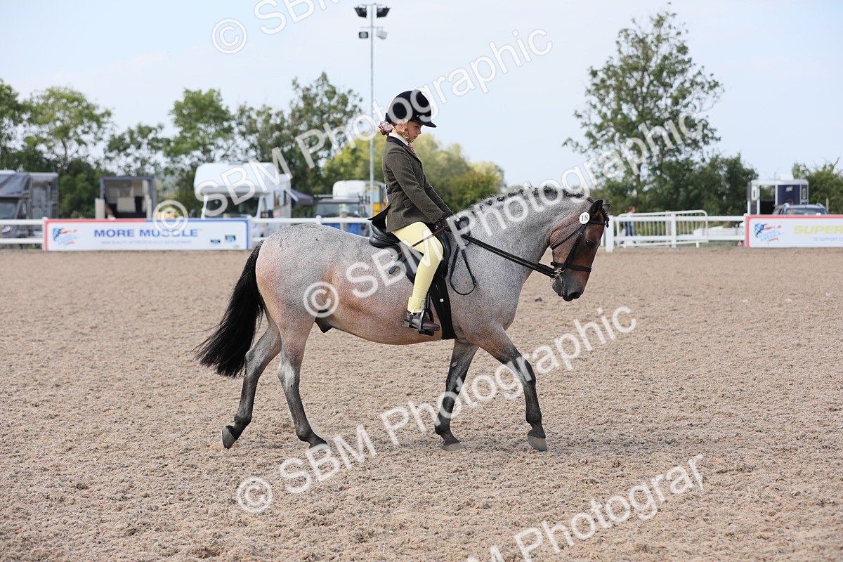 SBM_14671 - Class 310 First Ridden Pony