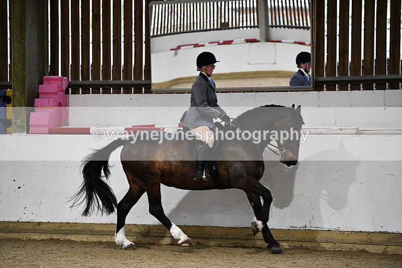 WJ5_8881 - Class 15 Ridden Show Horse