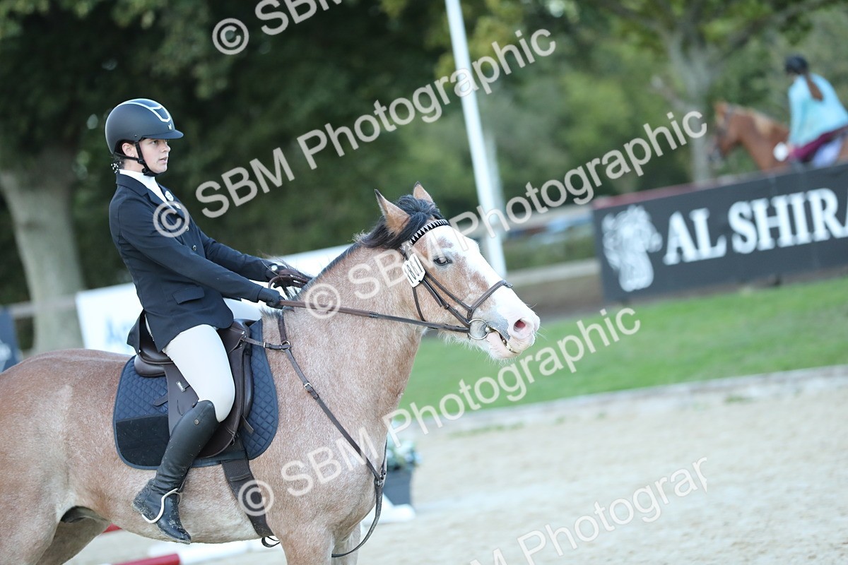 SBM_53677 - Supreme Championship 65cm 70cm