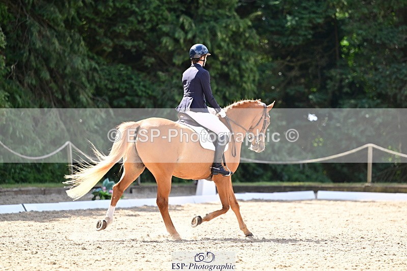 260731A-105847-00176 - Elementary Bronze 10.30 - Break