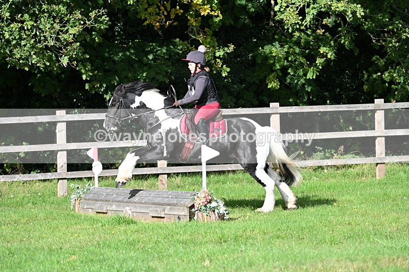 WJ7_3749 - 40cm Time 10:26 to 10:42