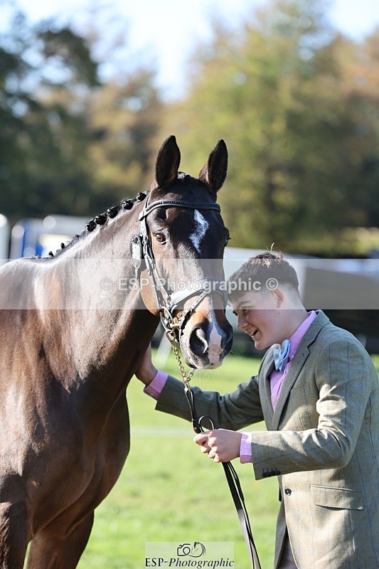 241027-100741-15708 - 406-Harvey.Crocker-THE.NIGHT.TRAVELLER