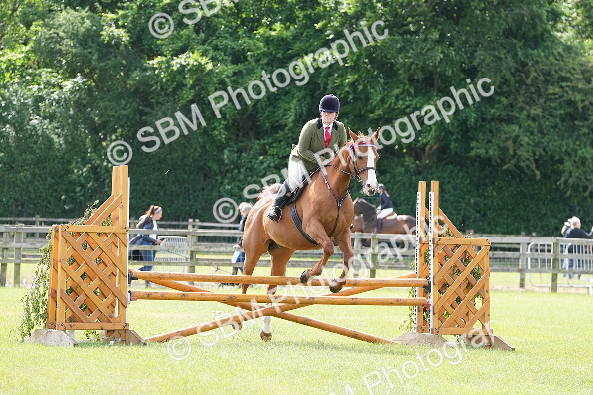 SBM_12897 - Class 99 - RIHS SEIB Working Show Horse