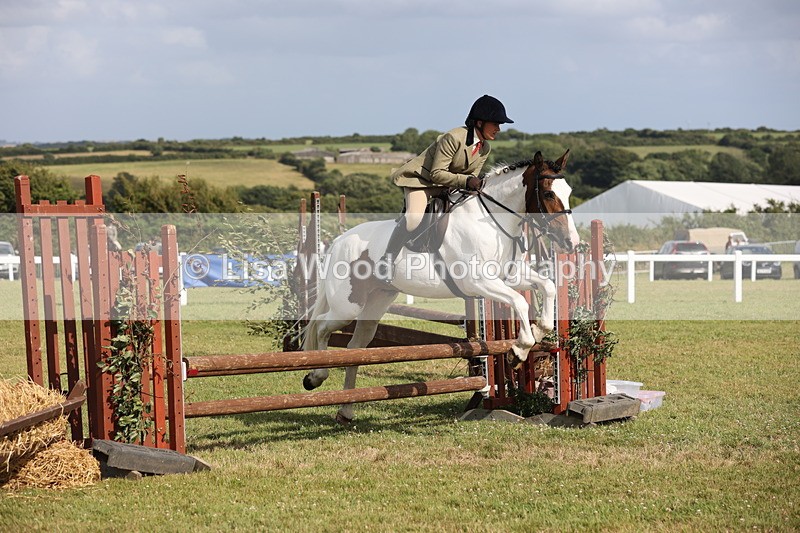 JPP_2809 - Class 20: Working Hunter 70cm