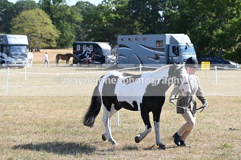 WJ6_7231 - Class 33 Rescue Pony