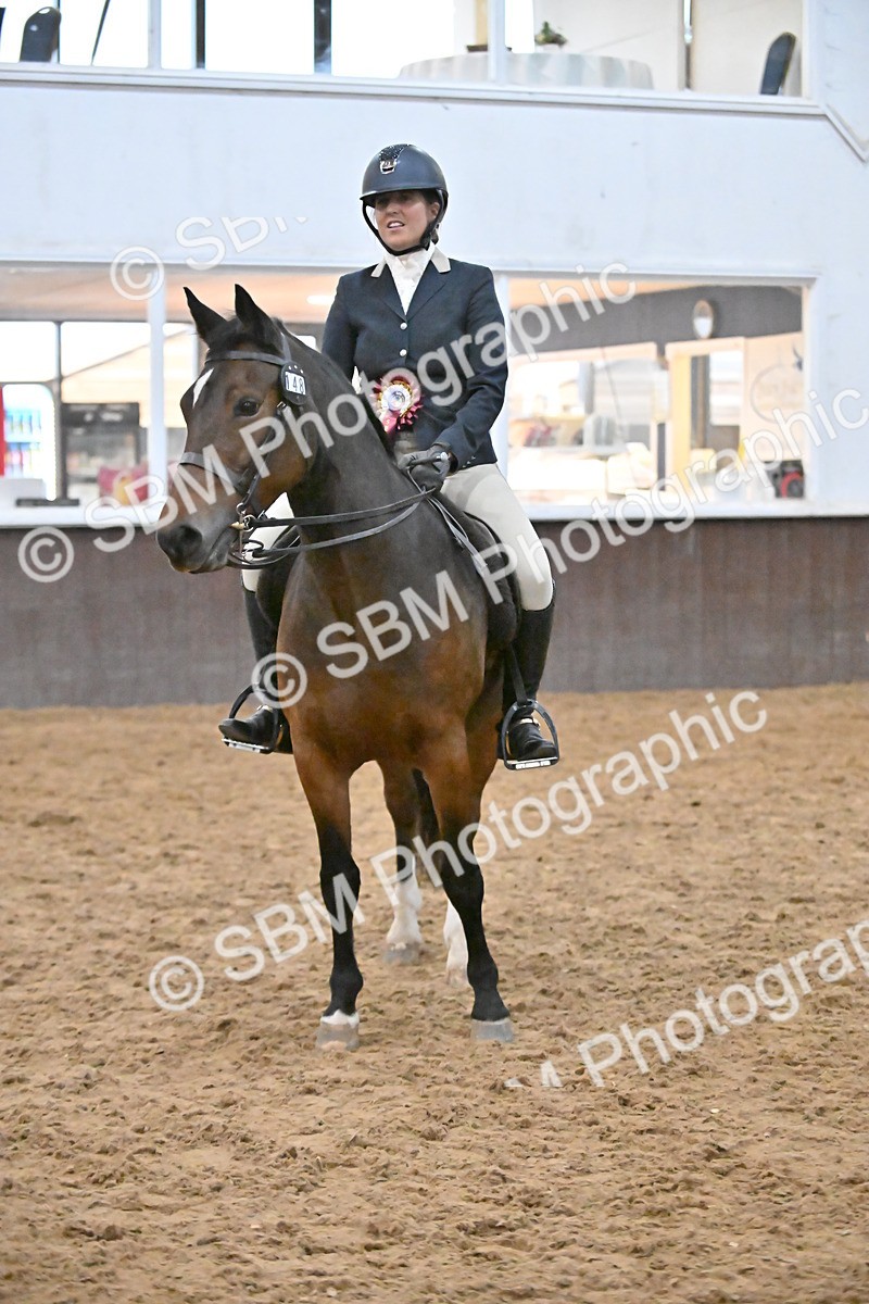 SBM_003033 - Class 37,38 - UKPSAF Performance Horse & Pony