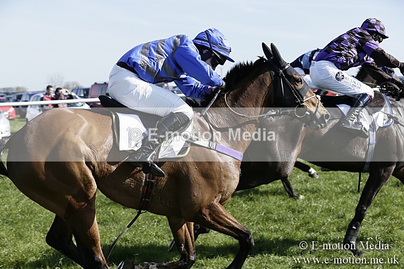 PtP 260317 226 - Mendip Farmers Point-to-Point Ston Easton 26/03/17
