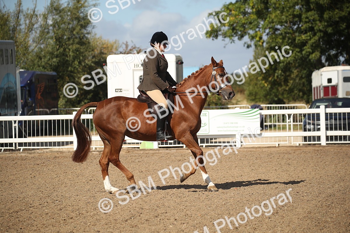 SBM_22909 - Class 603 - 2026 - Ridden Pre Vet