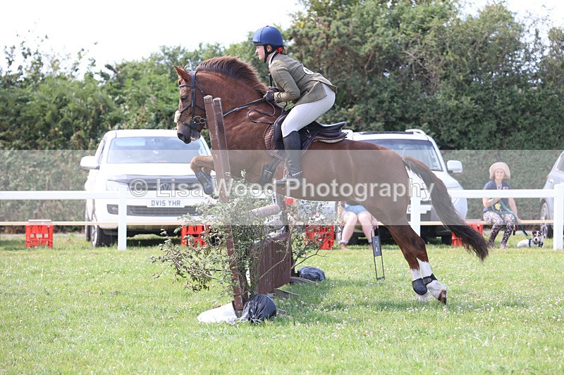 JPP_3692 - Class 23: Working Hunter 80cm