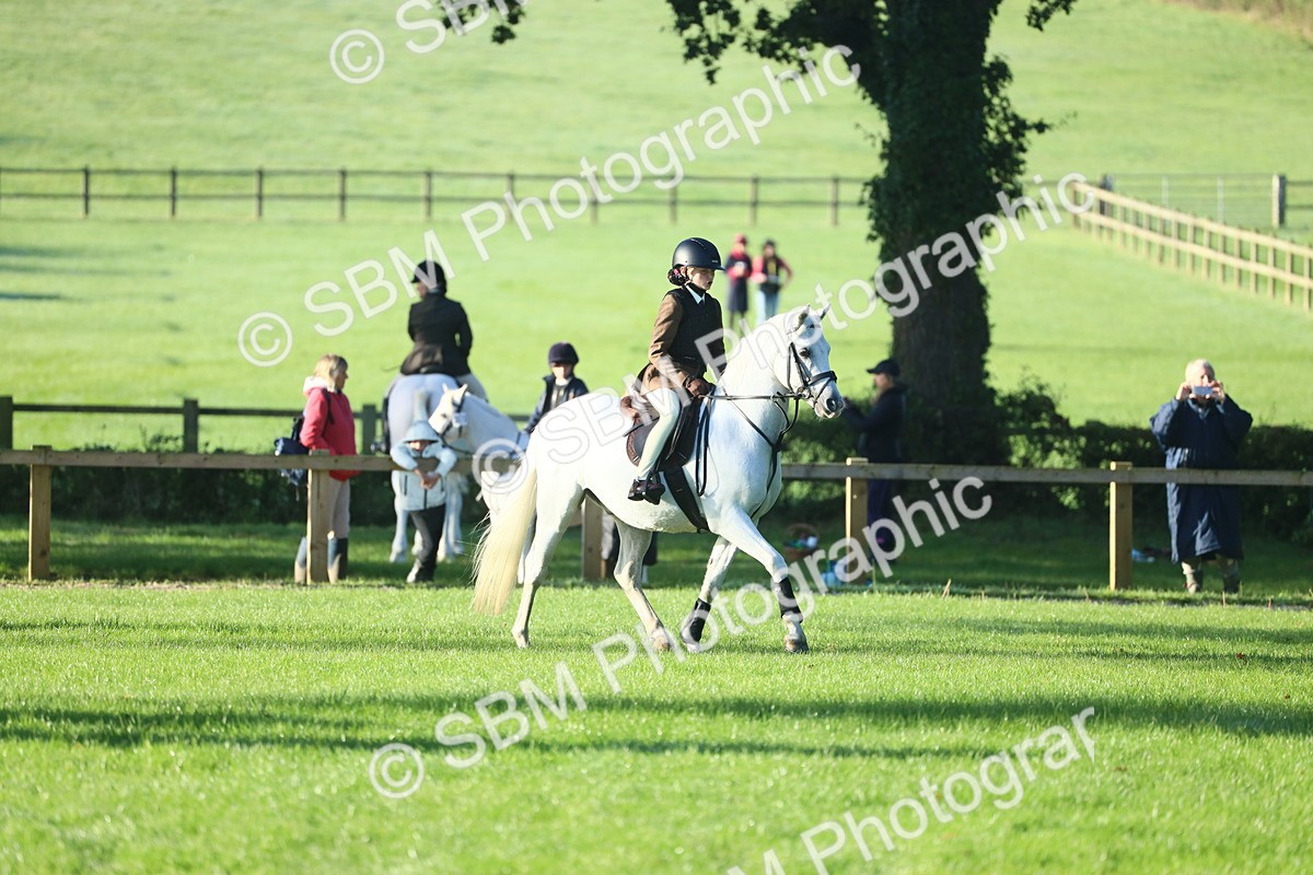 SBM_31959 - S28 - Nursery Stakes Working Hunter Pony