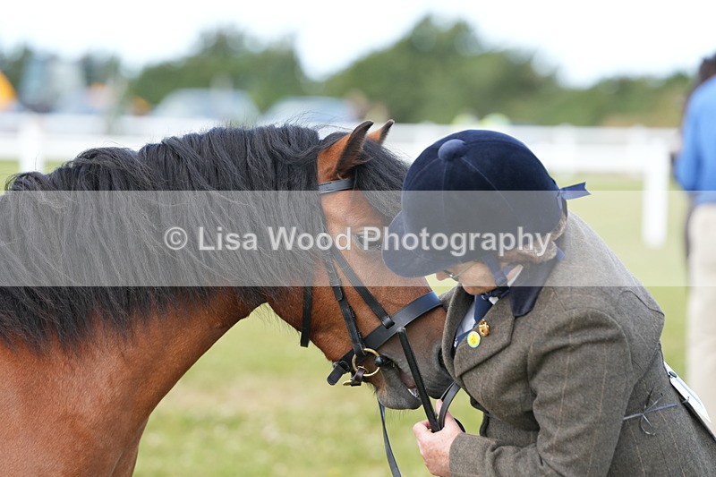 DSC05593 - Class 50: NPS M&M 4 years and over Small Breeds