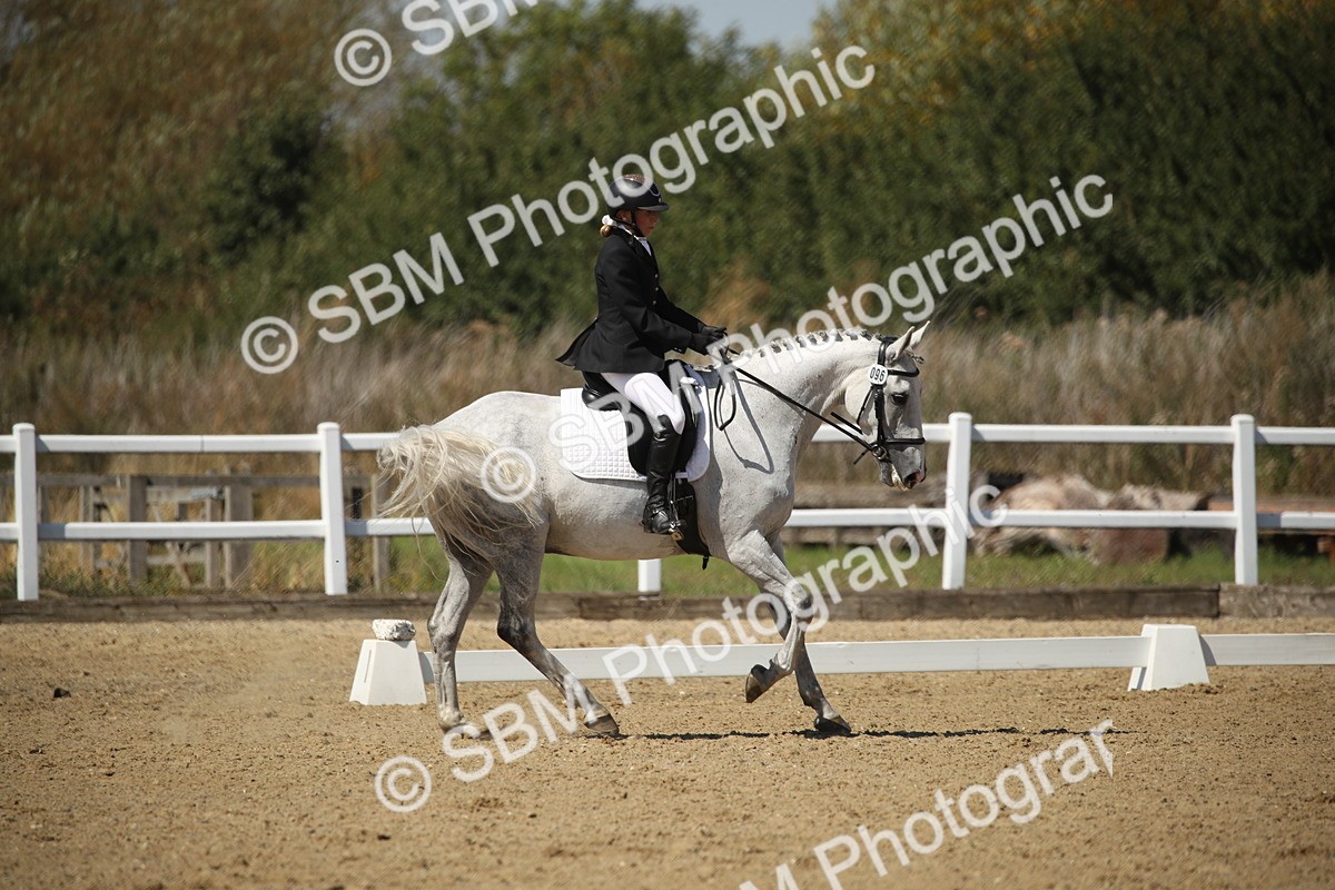 SBM_005147 - Class 11 - Novice 5 - 11.41-12.58