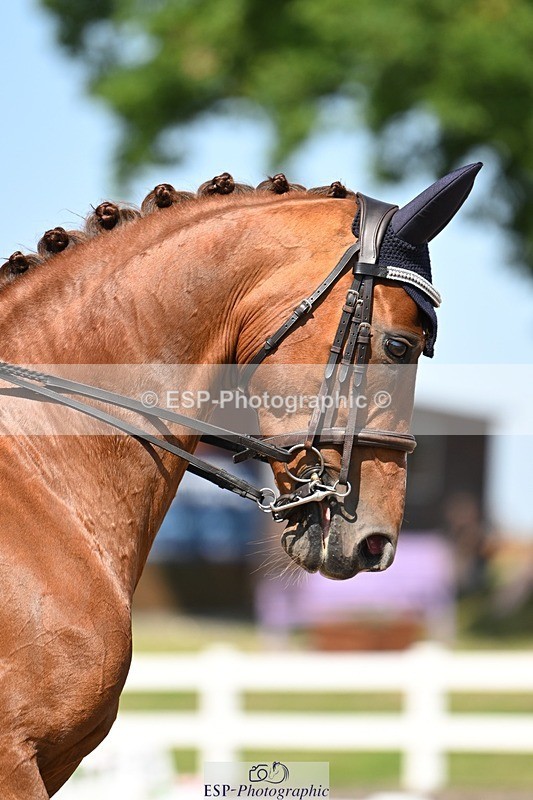 250620-154310-04393 - BD Cls 10 - Medium 5, 15.20 to End