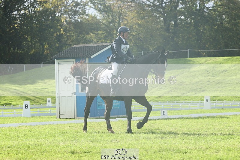 251023A-144411-04911 - F-431-Alison.Gill