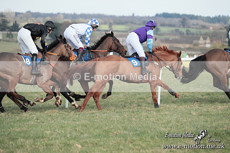 PtP 010325 477 - Beaufort Races Didmarton 01/03/25