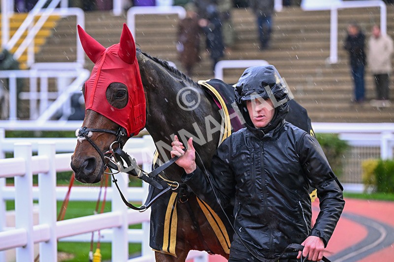 141125-Race 4-Matata-0182 - Race 4