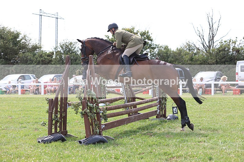 JPP_3768 - Class 23: Working Hunter 80cm