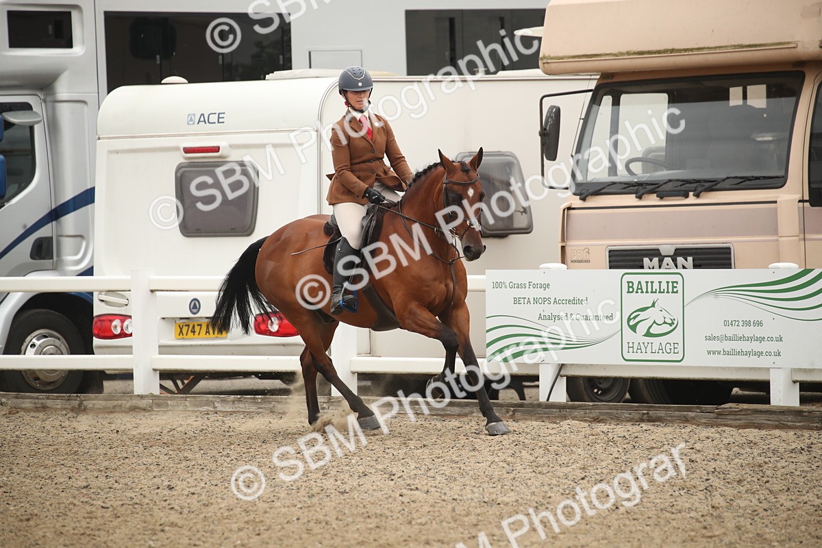 SBM_18504 - Class 510b - Working Veteran 90cm (20+)