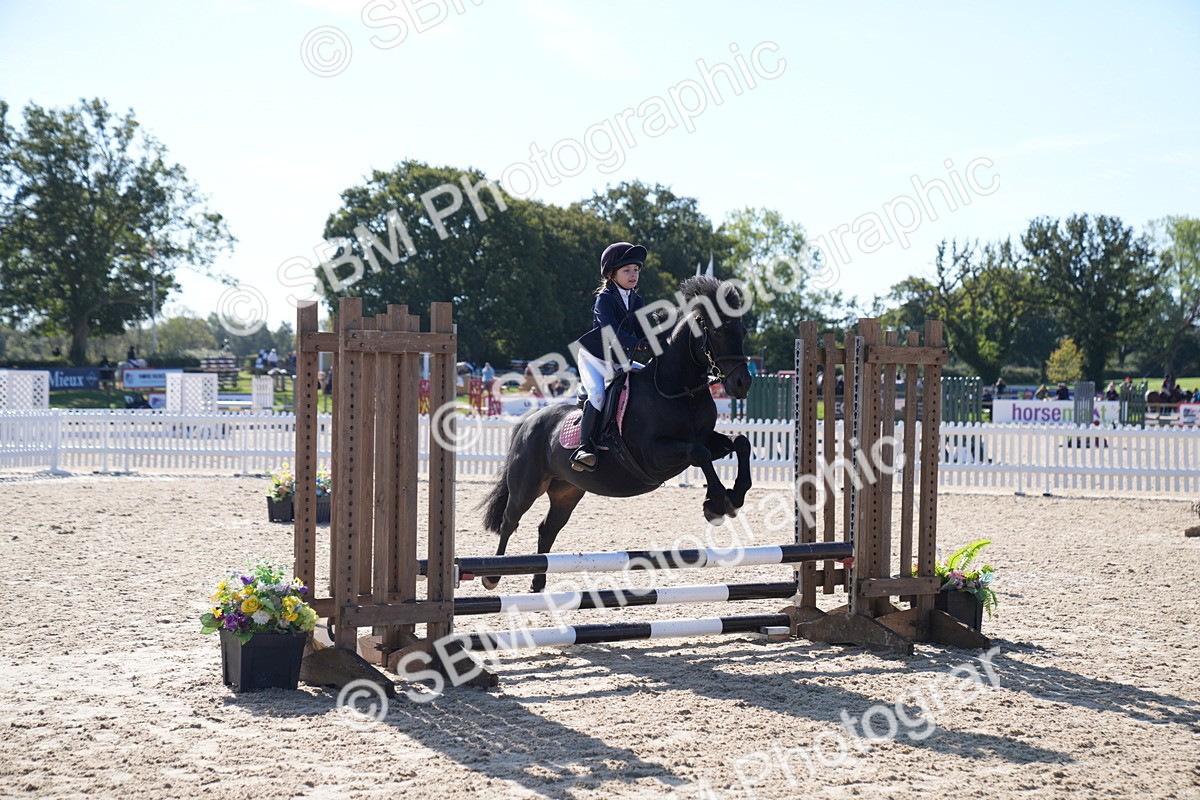 SBM_17648 - J58 - Clear Round 60cm