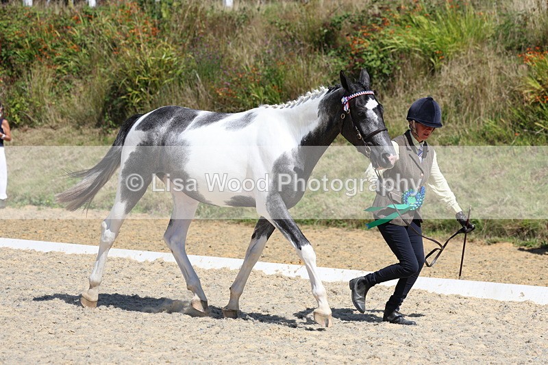 3E7A9859 - In Hand Championship