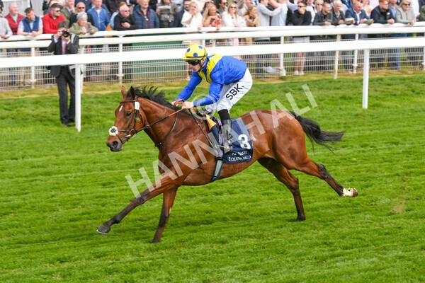 yr12052022r4-39 - Race 4 3.35pm Al Basti Equiworld Dubai Dante Stakes