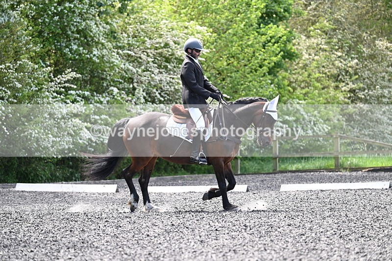 WJ7_8776 - Time 11:32 to 11:54