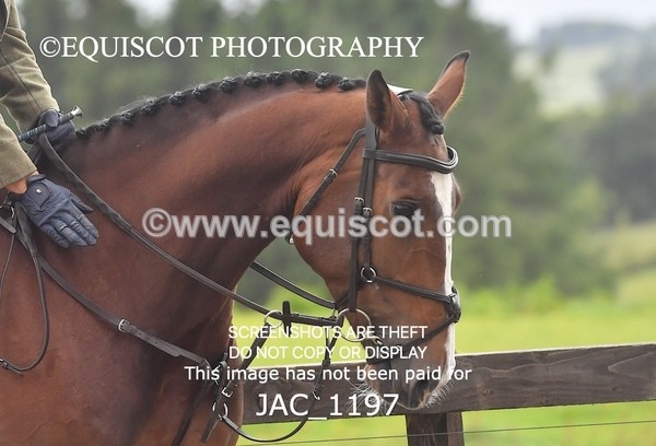 JAC_1197 - CLASS 8 BHS Scotland Riding Club Working Hunter Qualifier (1.00m)